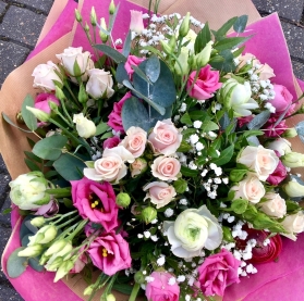 Spring Pinks