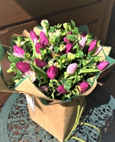 Purple Tulips