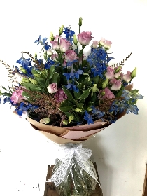 Stunning Delphiniums