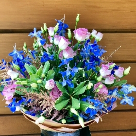 Stunning Delphiniums
