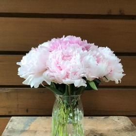 Peony Wrap