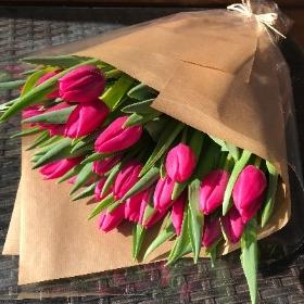 Wrap of Tulips