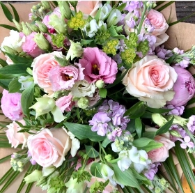Pastel Mix