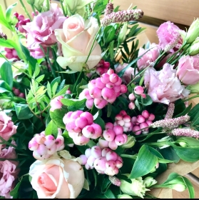 New: Pretty Autumnal Pinks