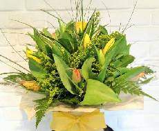 Box of Tulips