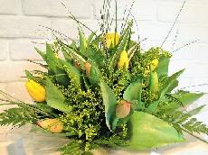 Box of Tulips
