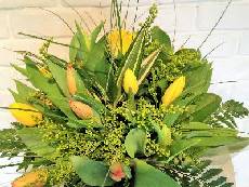 Box of Tulips