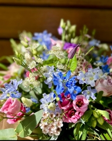 Stunning Delphinium Mix