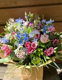 Stunning Delphinium Mix